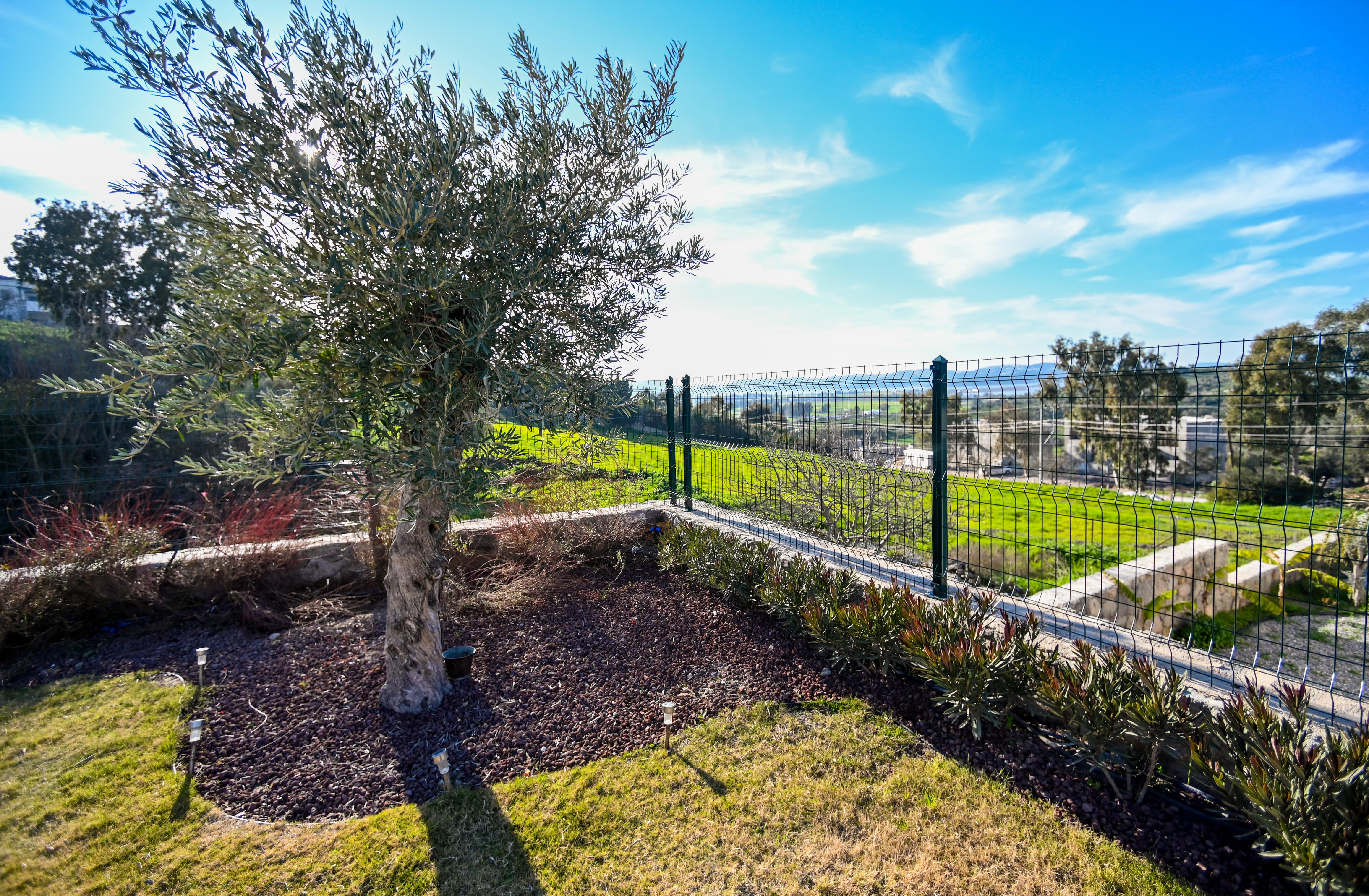 Modern Villas with Lake Views