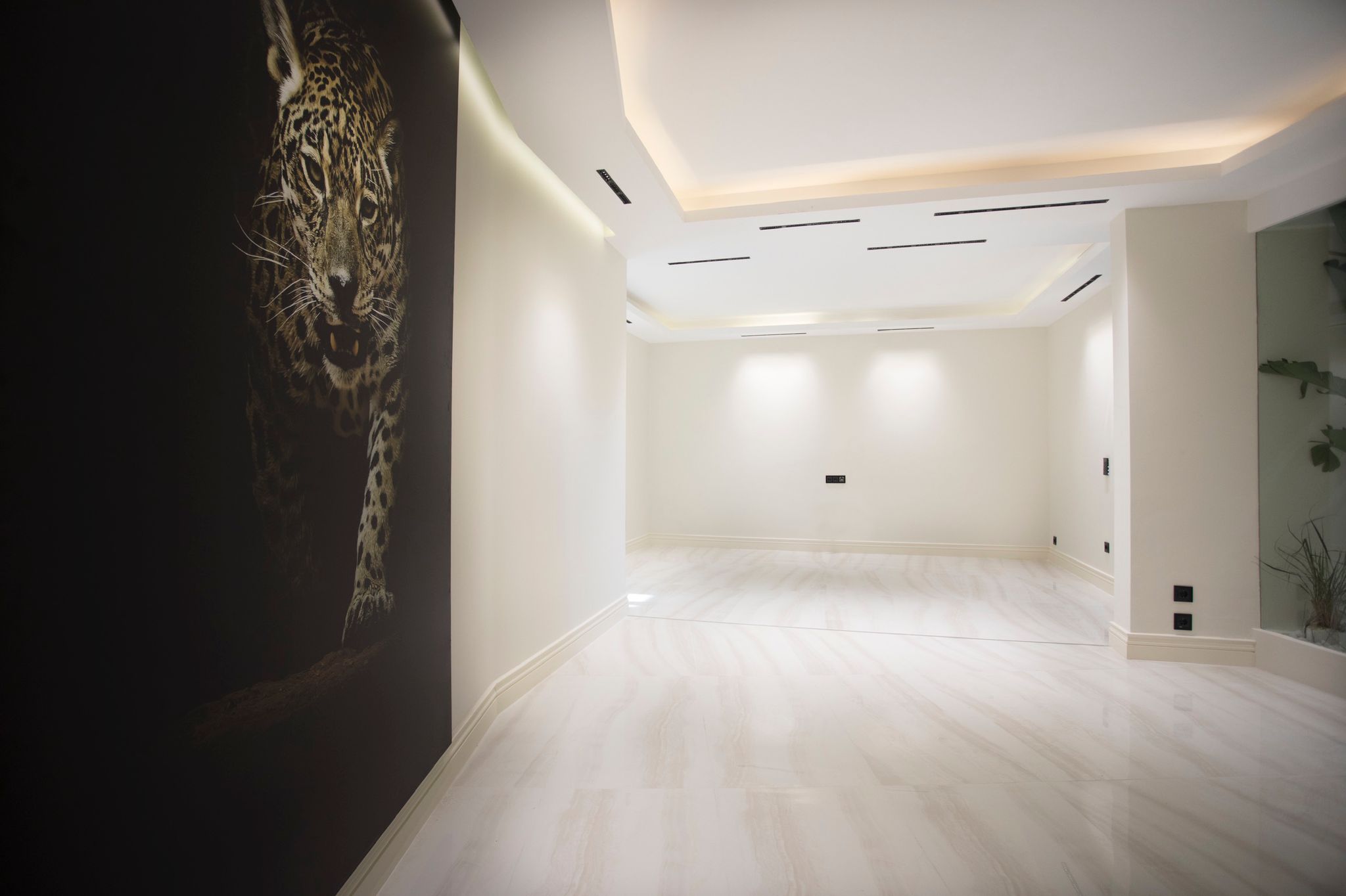 Luxury Modern Villas in Bodrum