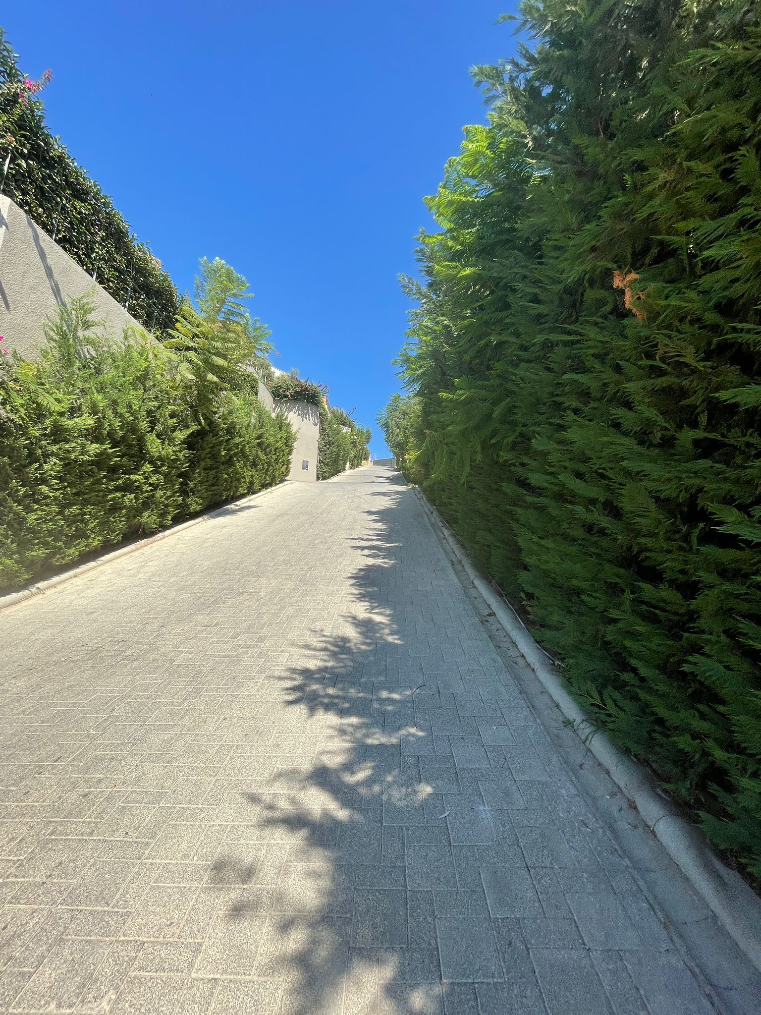 Luxury Sea-View Villa in Bodrum