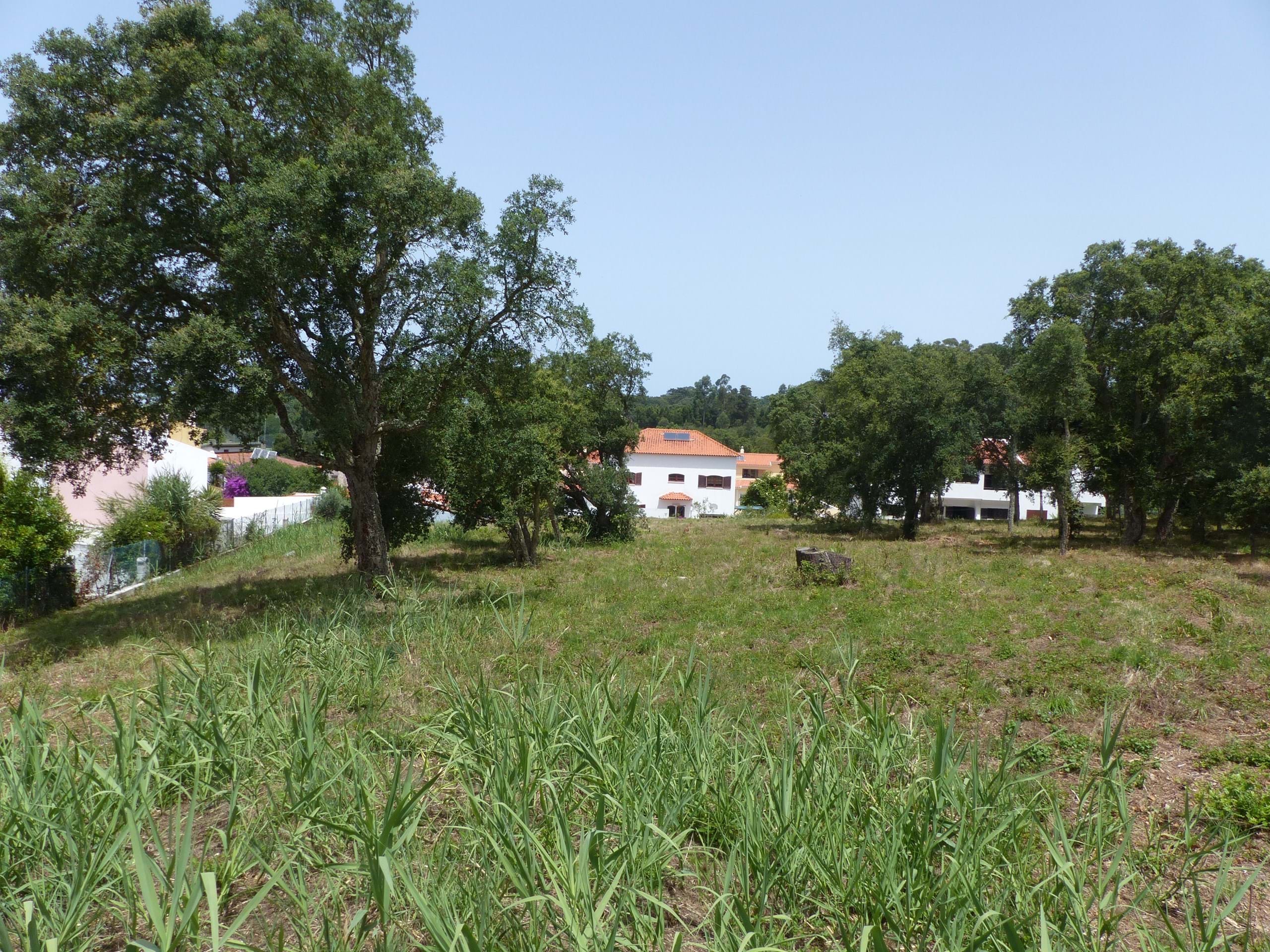 Land for construction in Caldas da Rainha