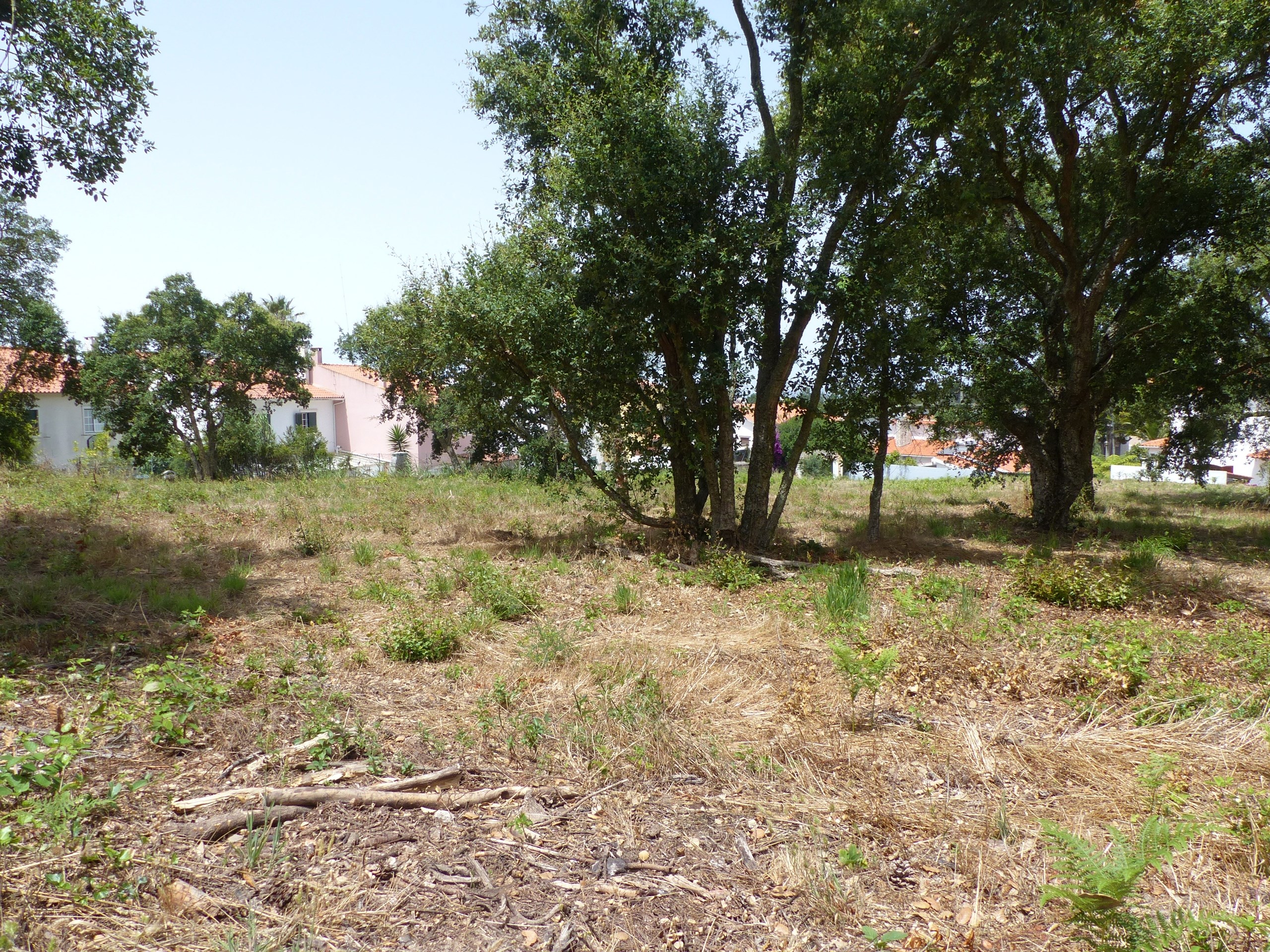 Land for construction in Caldas da Rainha