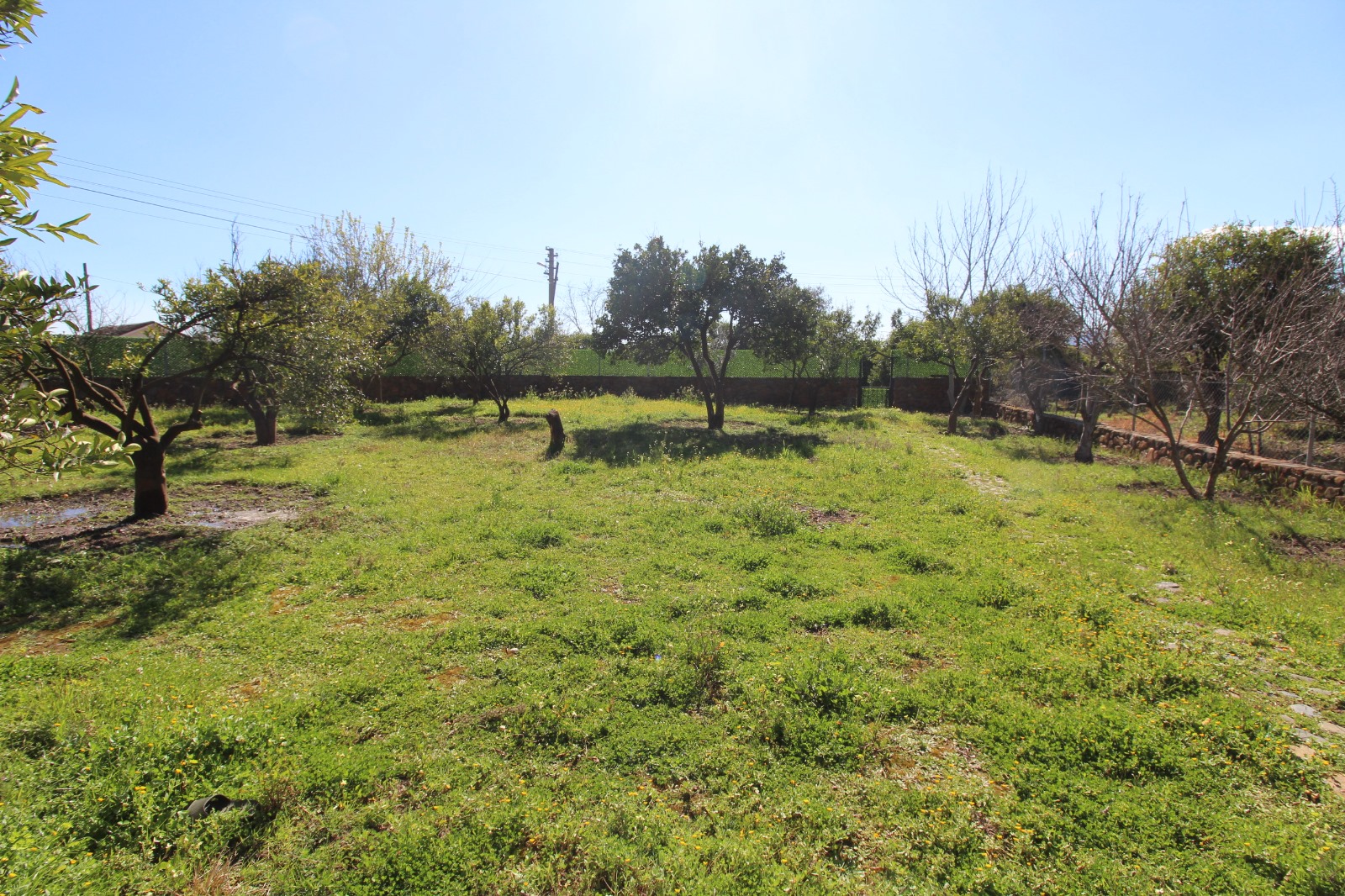 Characterful Koycegiz Cottage and Annexe