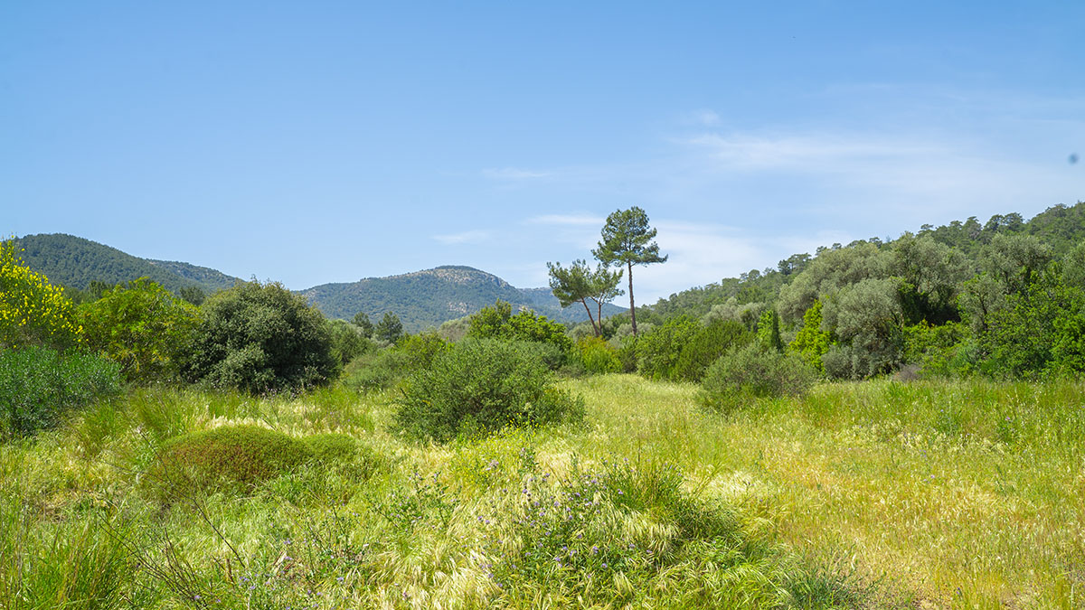 Secluded Luxury Stone Built Villas