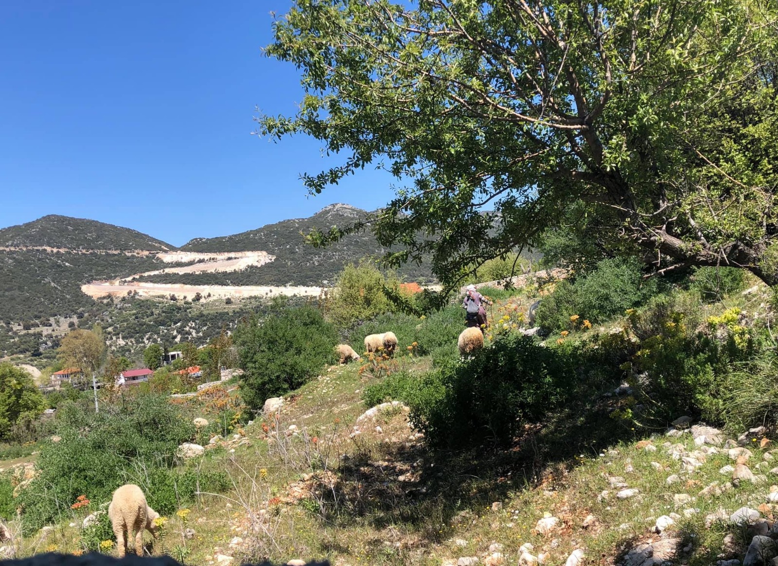 Secluded Detached Stone Villa