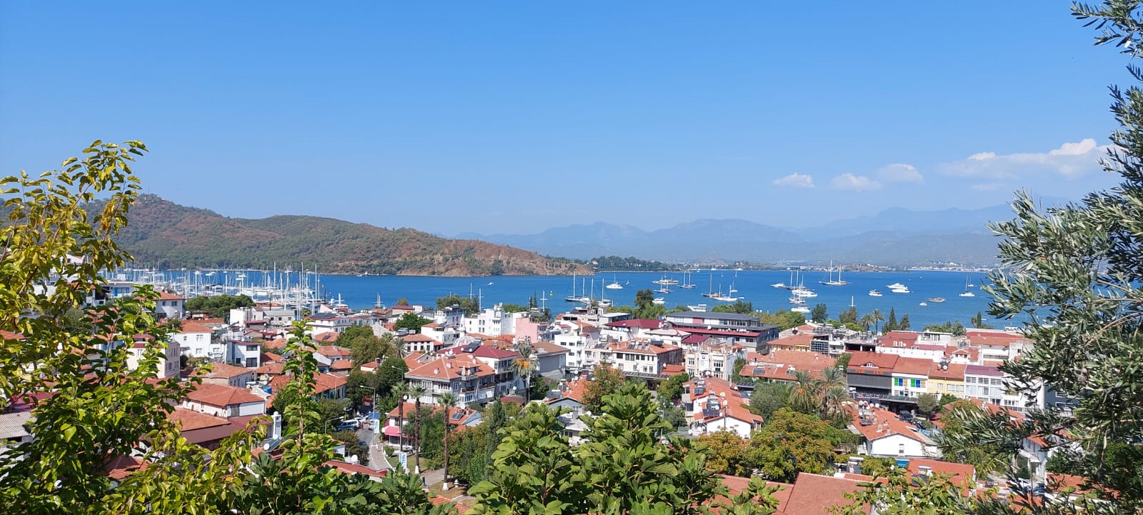 Central Location Studio Apartment