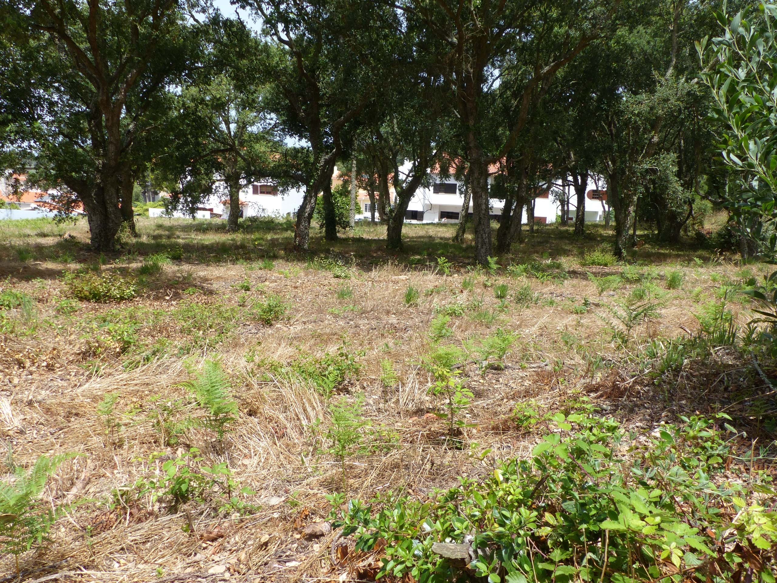 Land for construction in Caldas da Rainha