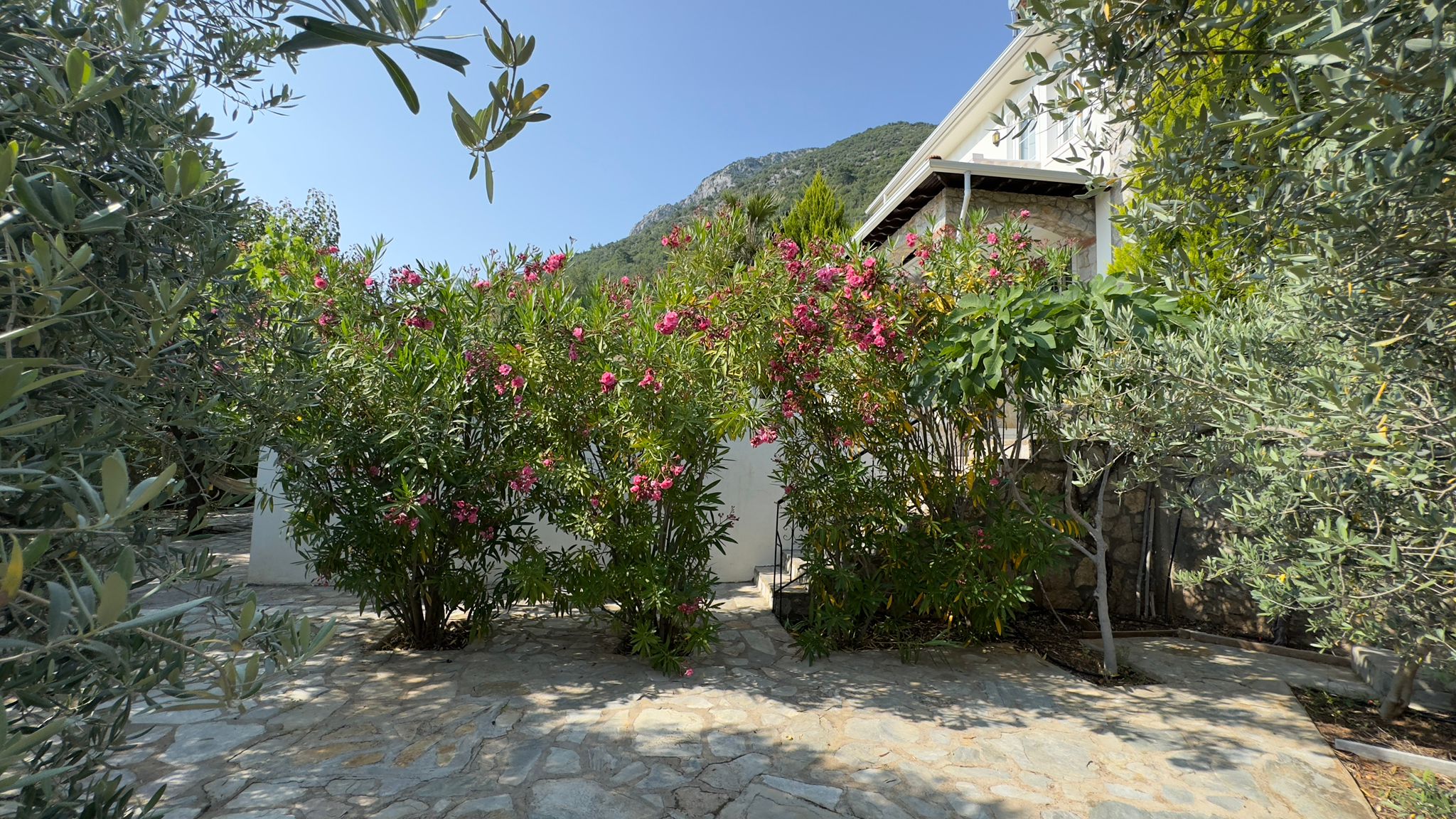 Detached Villa with Great Views