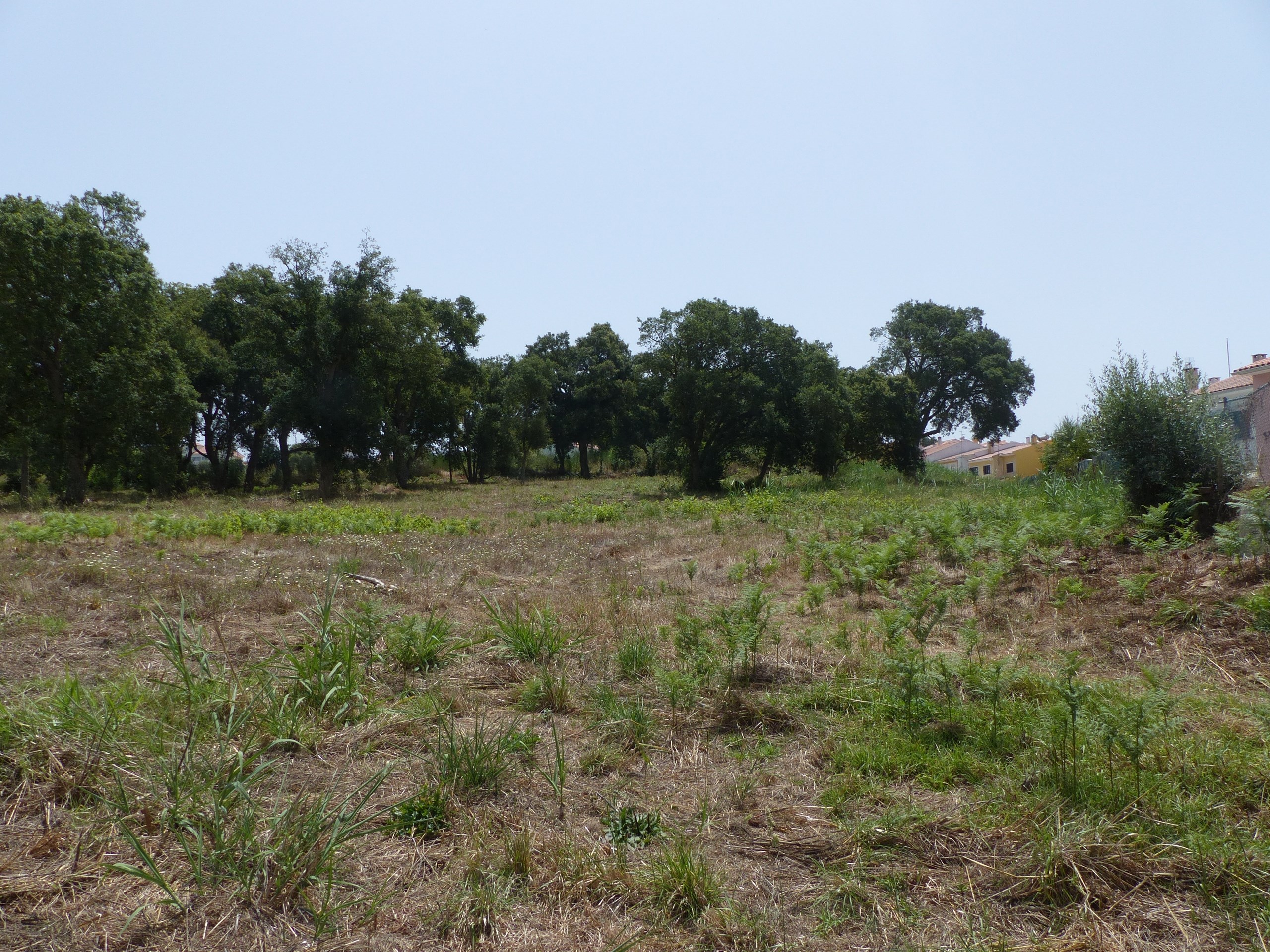 Land for construction in Caldas da Rainha