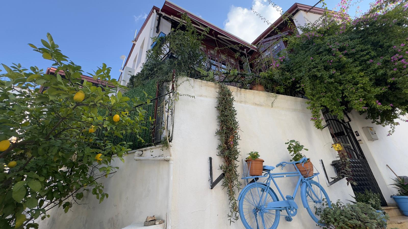 Traditional Turkish Style House