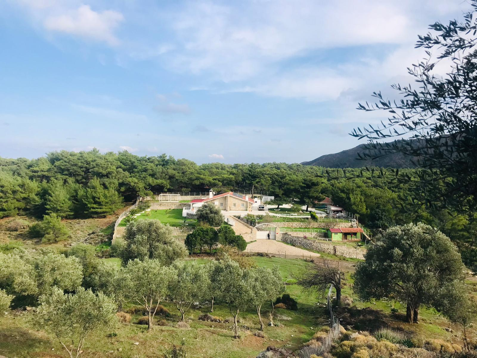 Secluded Property near Datca