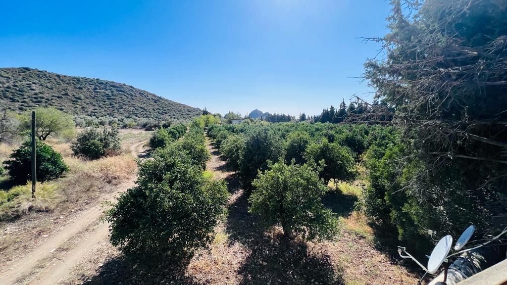 Boutique Hotel in Datca