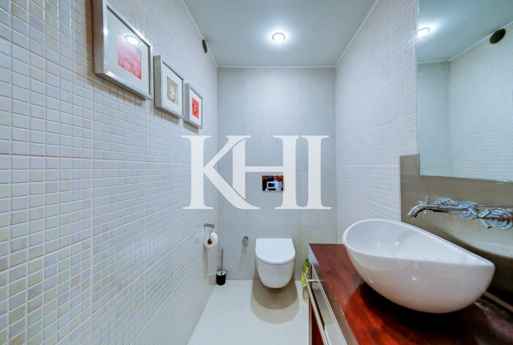 Spacious Luxury Villa in Beykoz