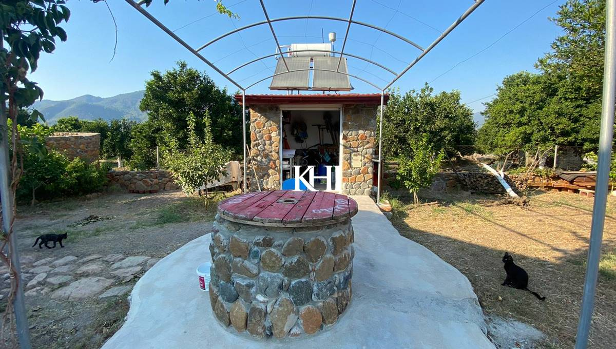 Characterful Koycegiz Cottage and Annexe