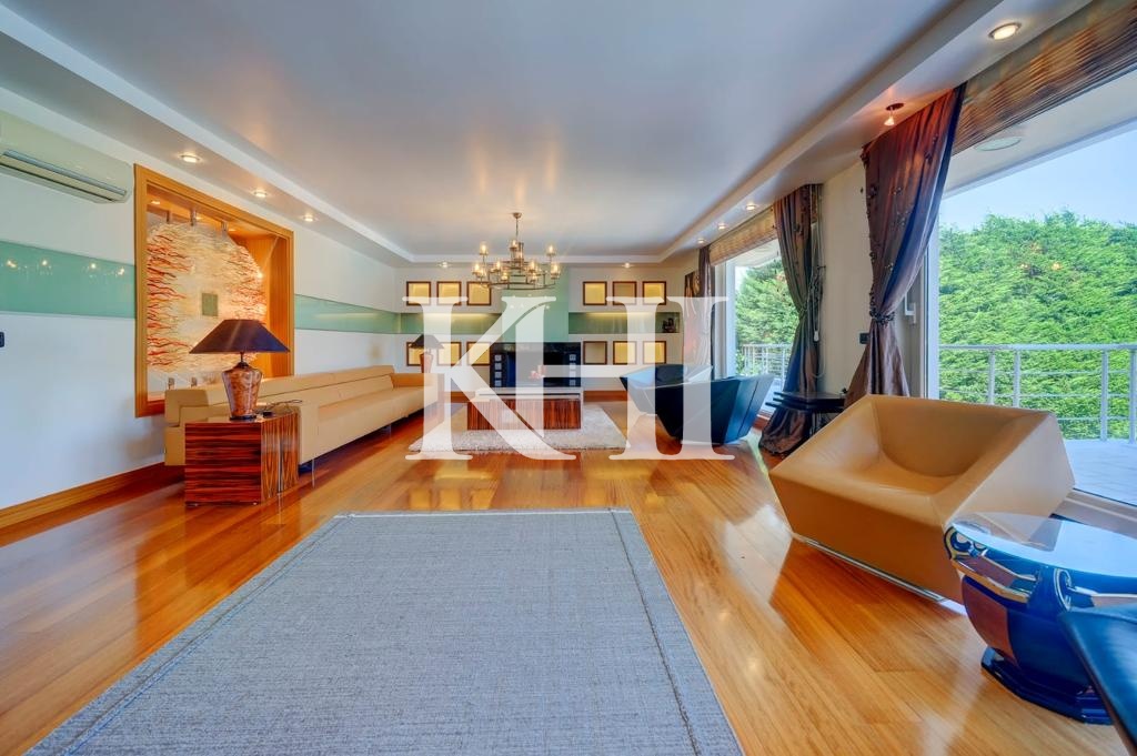 Spacious Luxury Villa in Beykoz