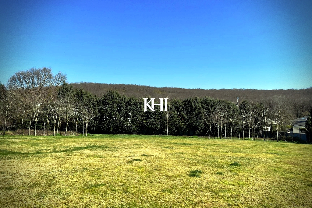 Stunning Luxury Istanbul Mansion