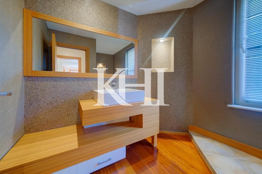 Spacious Luxury Villa in Beykoz