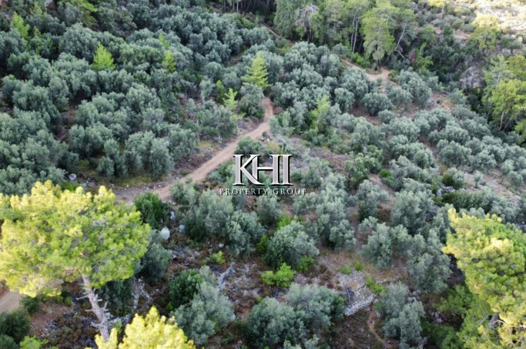 Large Plot Near Gocek