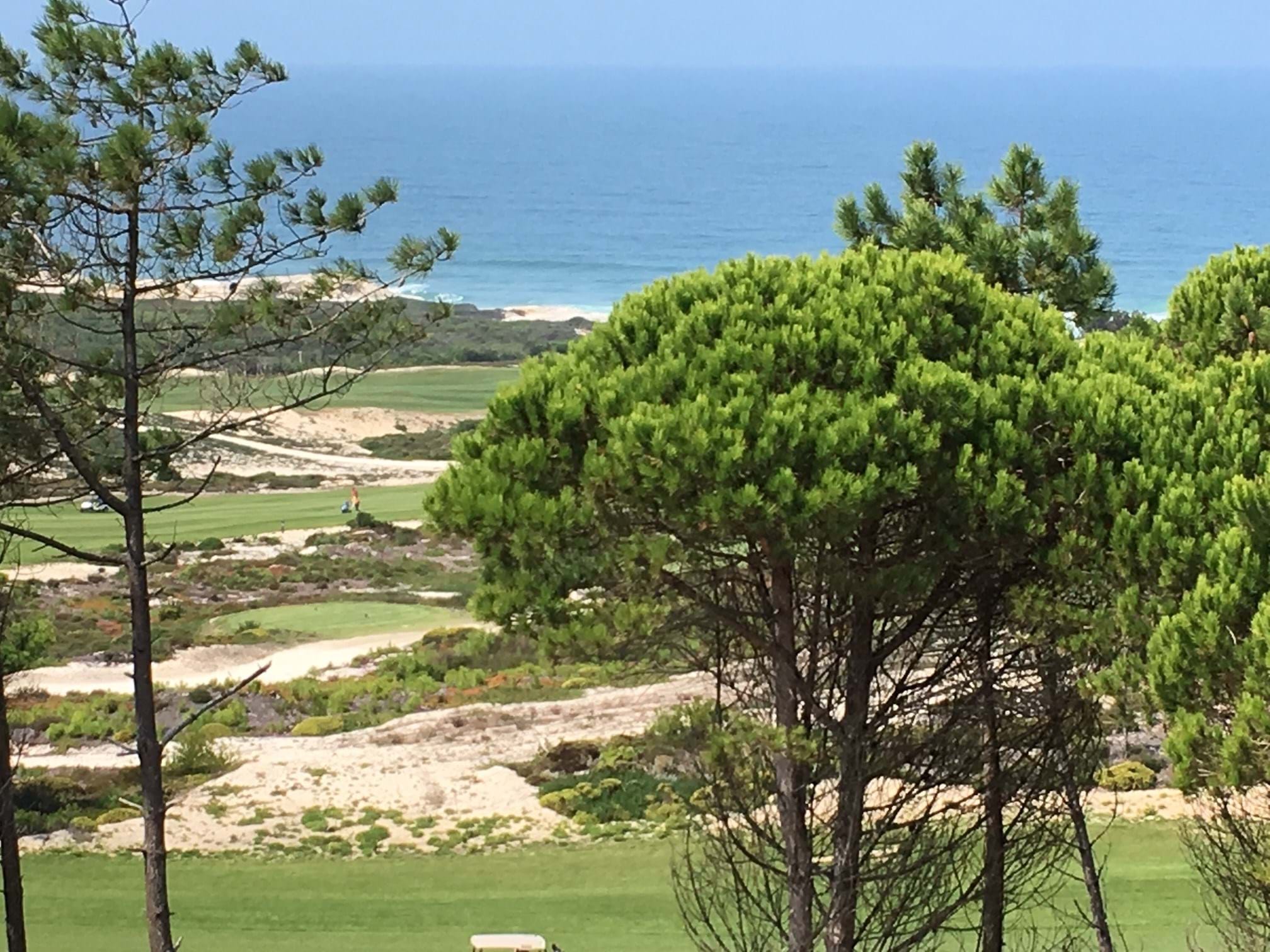 Sea-View Duplex Apartment in Obidos