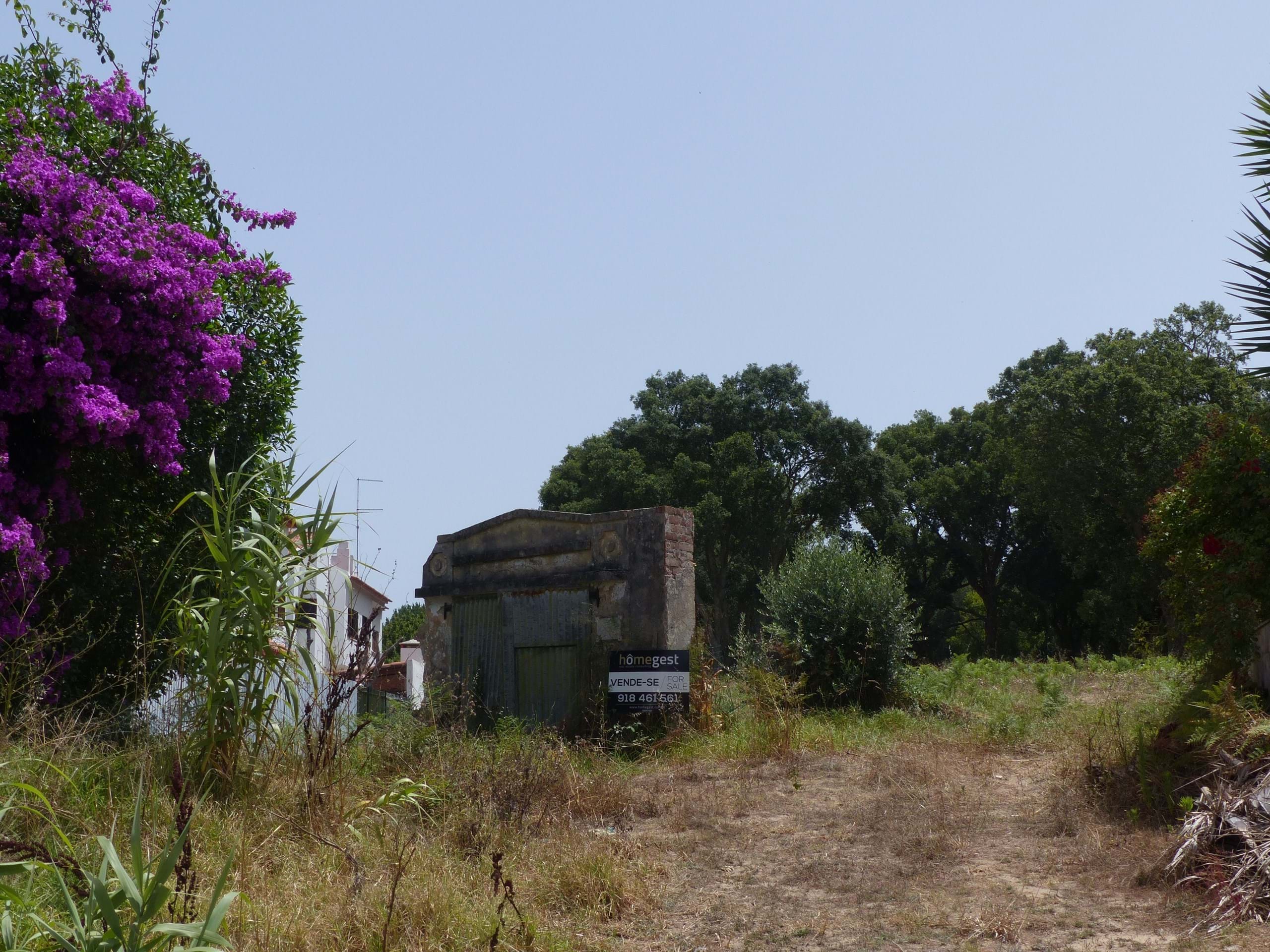 Land for construction in Caldas da Rainha