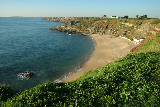 Spacious Sea-View Apartment in Peniche
