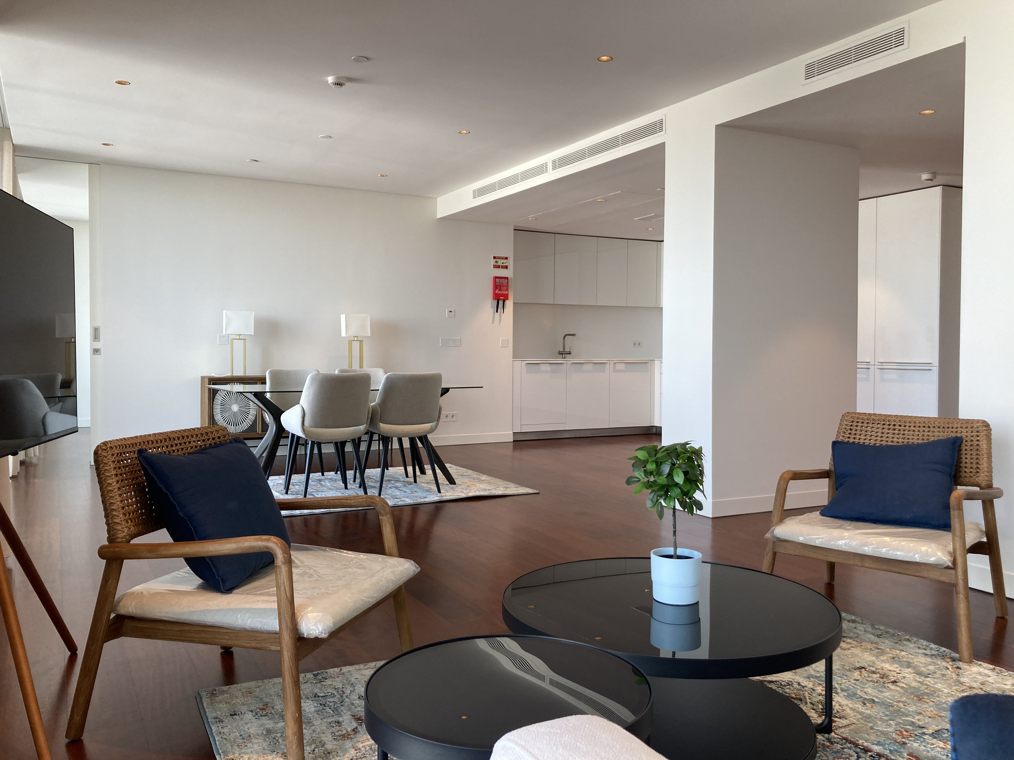 Luxury Apartment with River View
